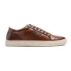Endeavour Chain Sneaker In Brown